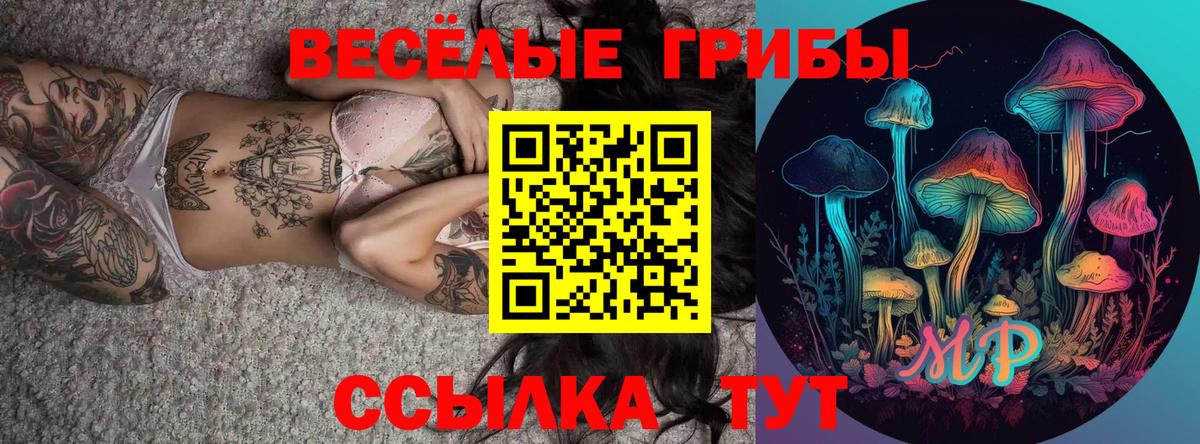 Галлюциногенные грибы мицелий Губкинский