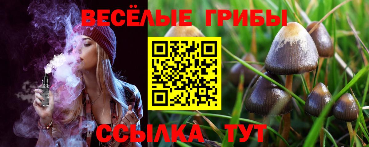 Губкинский  Вход с VPN  Метадон  Гашиш  Мефедрон   КОКАИН 